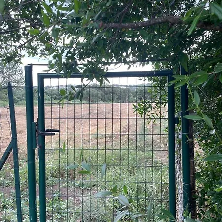 120 M² Avec Piscine
